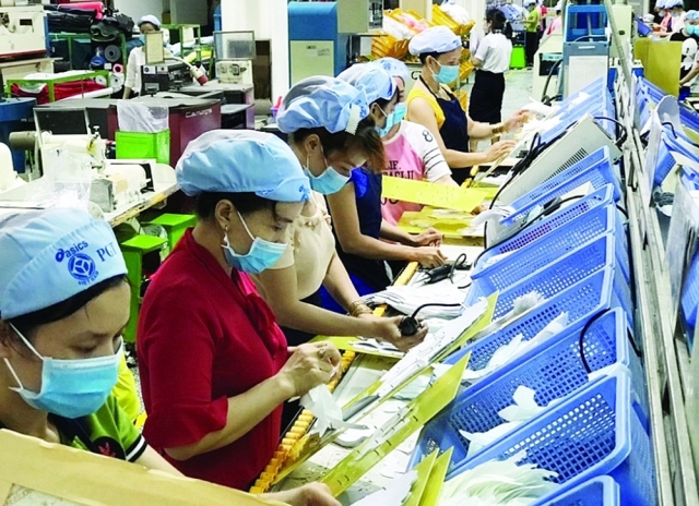 Trong 5 tháng đầu năm, TP. Hồ Chí Minh có 14.543 doanh nghiệp thành lập mới (Ảnh minh họa). Nguồn: hqhcm.gov.vn