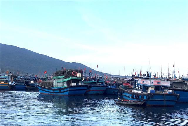 Tạm dừng hoạt động Cảng cá Thọ Quang 7 ngày để chống dịch. Ảnh VGP/Lưu Hương
