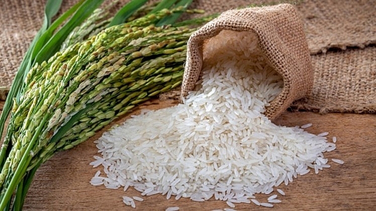 Giá lúa giảm, giá gạo đi ngang