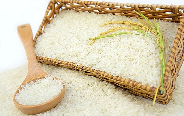 Giá lúa gạo hôm nay xu hướng giảm