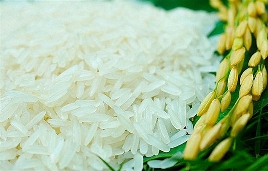 Giá lúa gạo ổn định