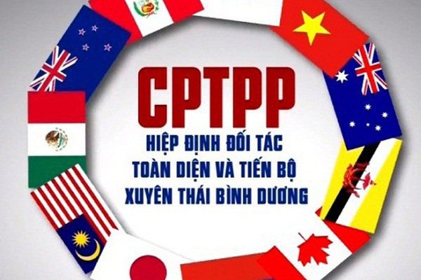 Ngày 12/11/2018, Quốc hội đã thông qua Nghị quyết về việc phê chuẩn Hiệp định CPTPP và các văn kiện có liên quan, theo đó, Hiệp định sẽ có hiệu lực đối với Việt Nam từ ngày 14/01/2019.