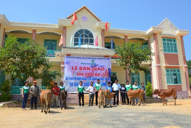Lễ trao tặng 100 bò giống tại huyện Nam Giang, tỉnh Quảng Nam