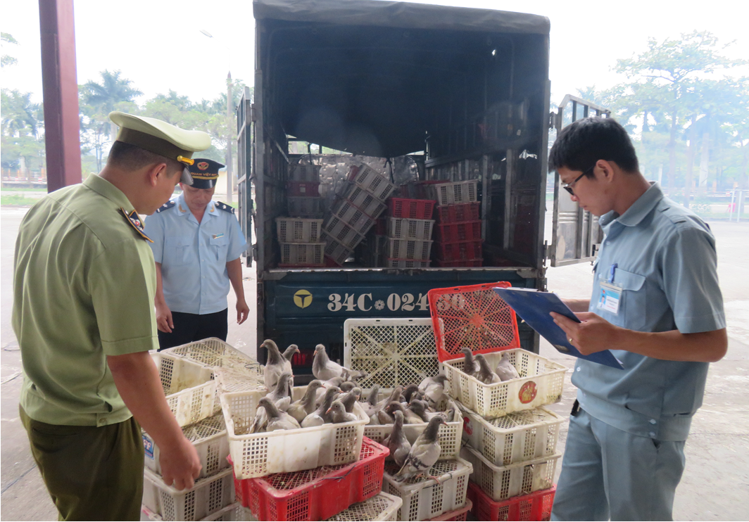 Hải quan Quảng Ninh phối hợp kiểm tra hàng hóa vi phạm