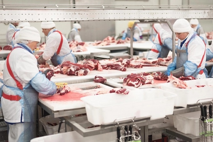 Gần 1.500 tấn thịt lợn Nga đã được nhập về Việt Nam qua cảng Cát Lái, Phước Long và cảng Hải Phòng.