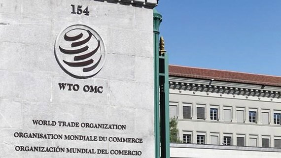 Tổ chức Thương mại Thế giới (WTO).