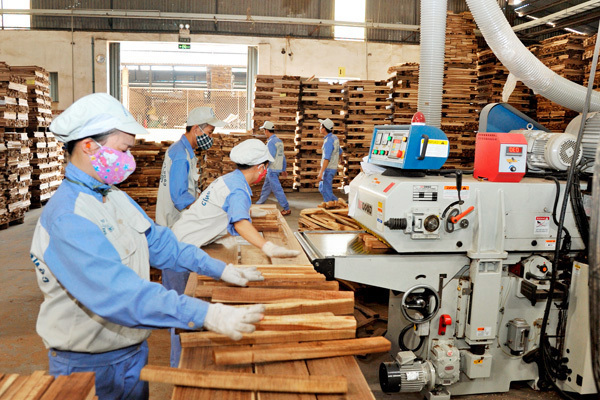Việt Nam dự tính có tầm khoảng 3.500 doanh nghiệp về chế biến gỗ, hơn 340 làng nghề gỗ. Và số lượng lớn những hộ gia đình sản xuất kinh doanh về đồ gỗ tư nhân chưa được thống kê.