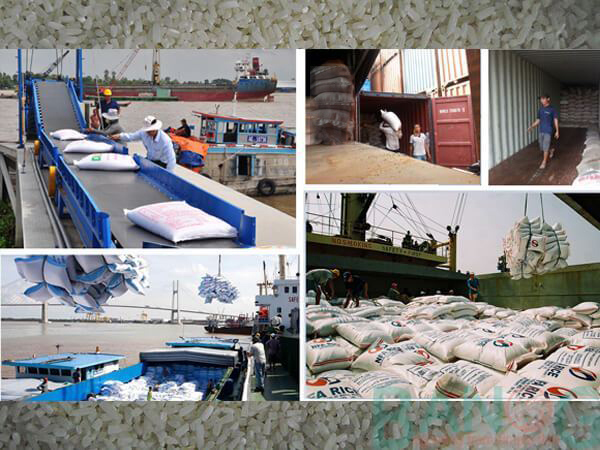 Tổng cục Hải quan đề nghị việc kiểm tra gạo xuất khẩu không yêu cầu doanh nghiệp phải dỡ hàng ra khỏi container.