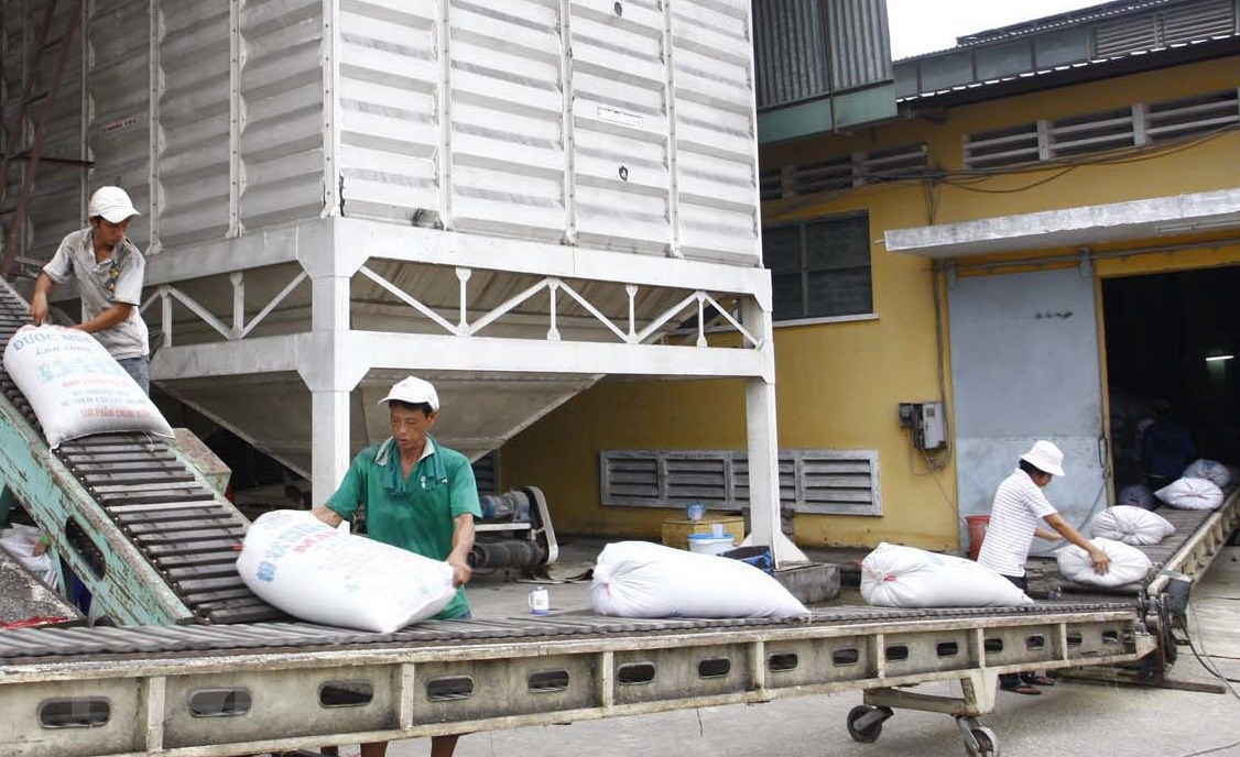 Có đến 161 tờ khai của 22 doanh nghiệp không có gạo tại cảng nhưng vẫn khai báo các tờ khai xuất khẩu gạo vào hệ thống Xử lý dữ liệu điện tử hải quan.