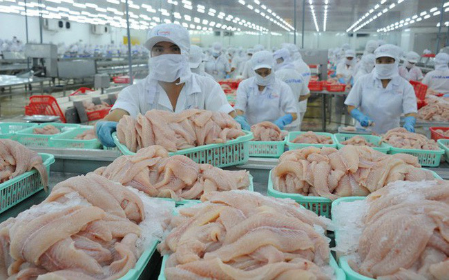 Hoa Kỳ giảm thuế cho doanh nghiệp xuất khẩu cá tra của Việt Nam.