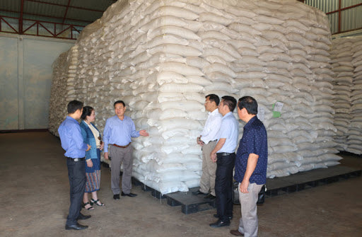 Tăng cường giám sát chặt việc đấu thầu gạo dự trữ quốc gia đợt 2.
