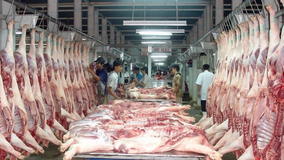 Nguồn cung ứng thịt heo đang được thắt chặt kiểm soát do lo ngại dịch bệnh.