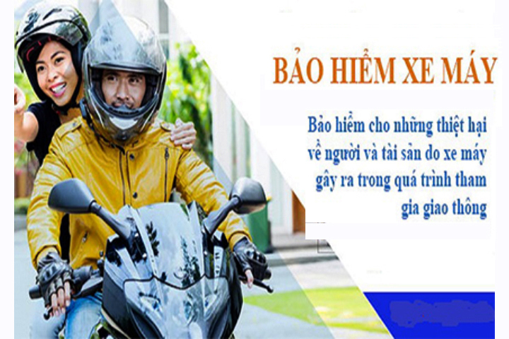 Bảo hiểm xe máy bắt buộc là một trong những giấy tờ cần thiết và quan trọng.