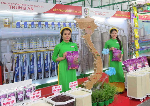 Gạo xuất khẩu Việt Nam vẫn giữ đỉnh giá cao nhất gần một năm qua.