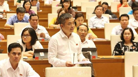 ĐB Nguyễn Lân Hiếu (An Giang) phát biểu tại phiên thảo luận sáng ngày 30/5.