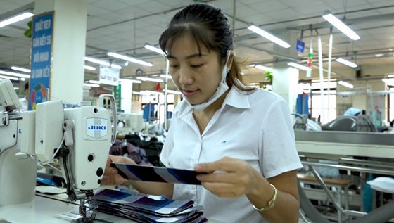 70% vải để phục vụ ngành may mặc tại Việt Nam hiện nhập khẩu từ Trung Quốc.