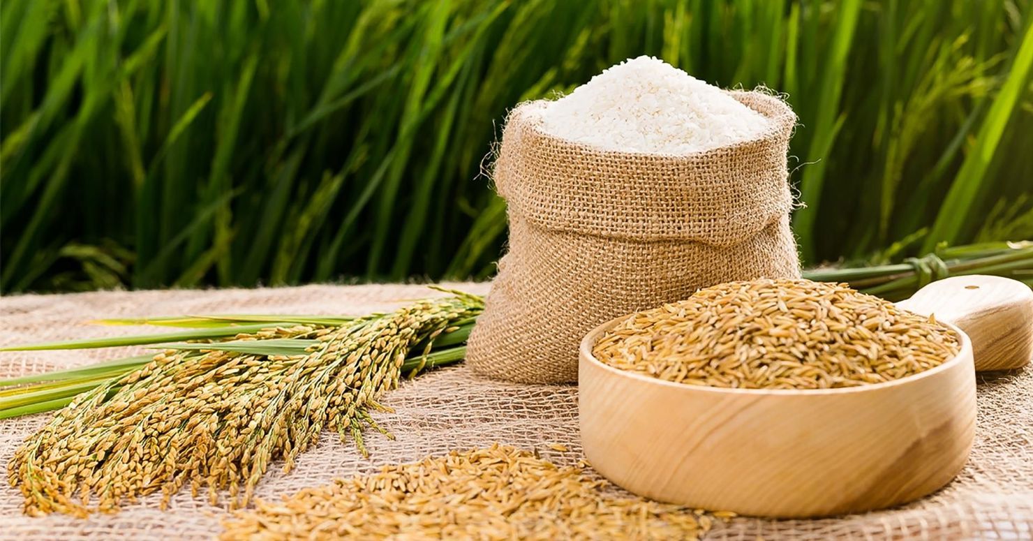 Việt Nam có cơ hội lớn để vượt qua Thái Lan về xuất khẩu gạo toàn cầu.