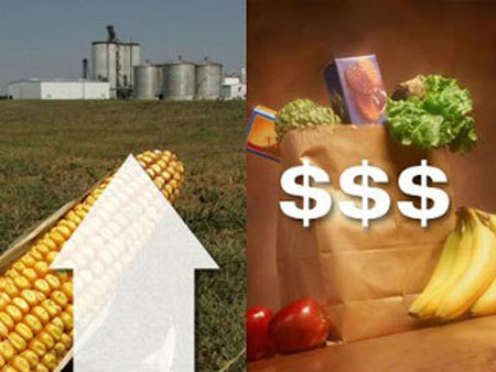 Chỉ số giá lương thực thế giới tăng lần đầu tiên trong năm 2020.