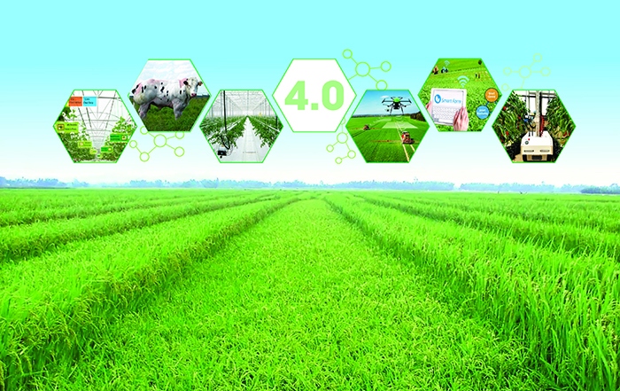 Phát triển nông nghiệp ở Việt Nam thời công nghệ 4.0.