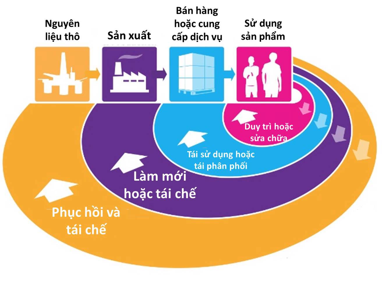 Kinh tế tuần hoàn  hướng phát triển bền vững cho doanh nghiệp Việt Nam   VOVVN