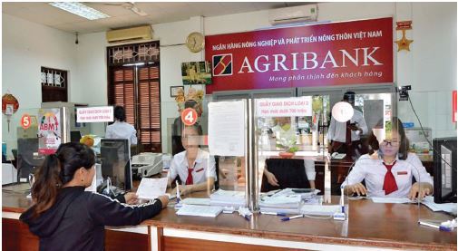 Agribank tiếp tục có đóng góp lớn cho “Tam nông” và nền kinh tế.