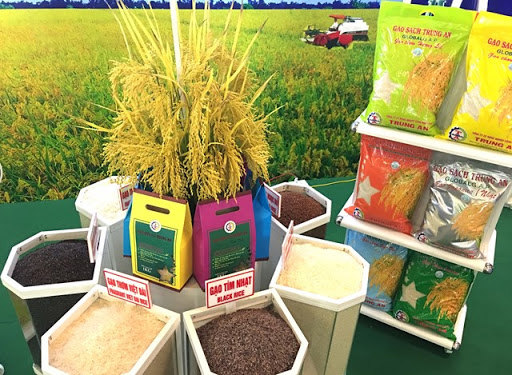 Giá gạo Việt Nam đang cao nhất trong nhóm các nước xuất khẩu gạo gồm Thái Lan, Ấn Độ, Pakistan, Miến Điện.