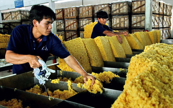 Xuất khẩu cao su của Việt Nam đạt 1,32 tỷ USD trong 8 tháng 2019.