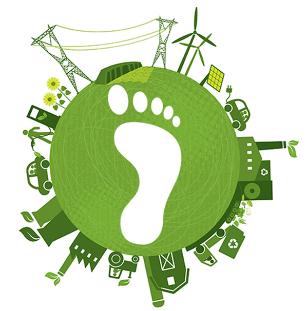 Các tổ chức tài chính Châu Âu hợp tác đo "dấu chân carbon" của các khoản đầu tư.