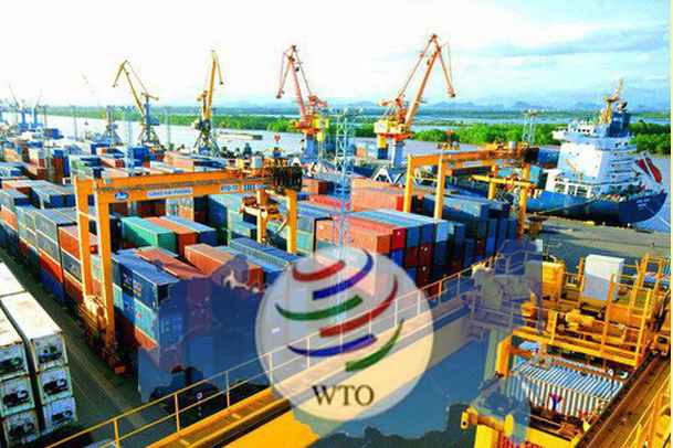 WTO ra mắt cơ sở dữ liệu mới về cấp giấy phép nhập khẩu.