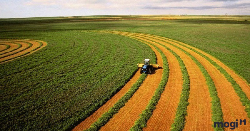Miễn, giảm thuế sử dụng đất nông nghiệp: Hỗ trợ trực tiếp tới người nông dân.