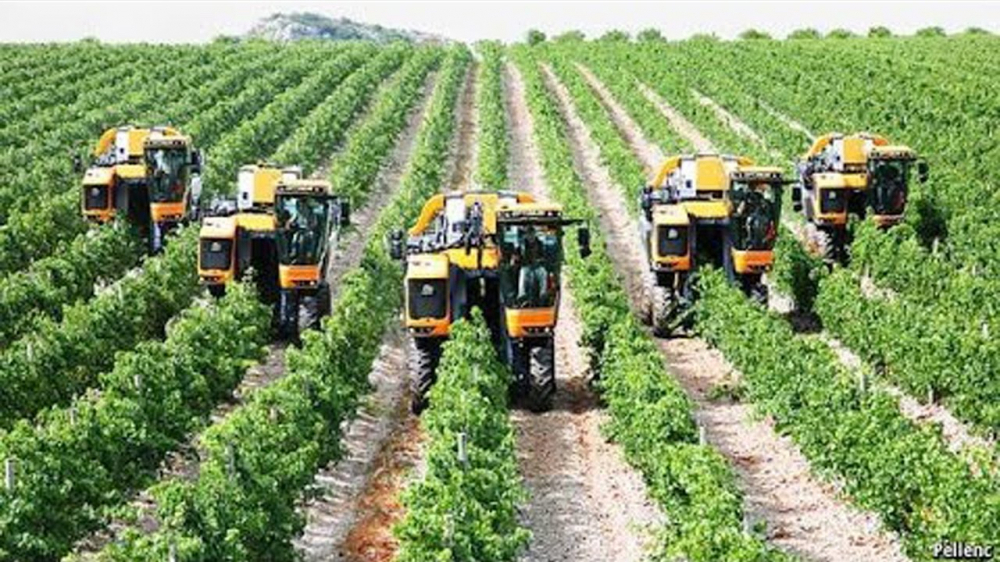 Mục tiêu năm 2020, phải có 1.500 Hợp tác xã nông nghiệp công nghệ cao.