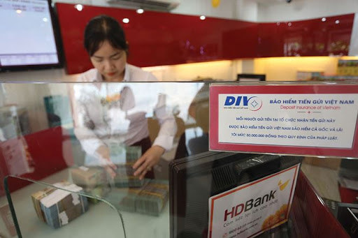 Bảo hiểm tiền gửi Việt Nam là tổ chức tài chính nhà nước hoạt động không vì mục tiêu lợi nhuận.