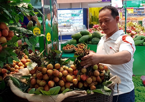 Cảnh báo nông sản Việt Nam sụt giảm giá.