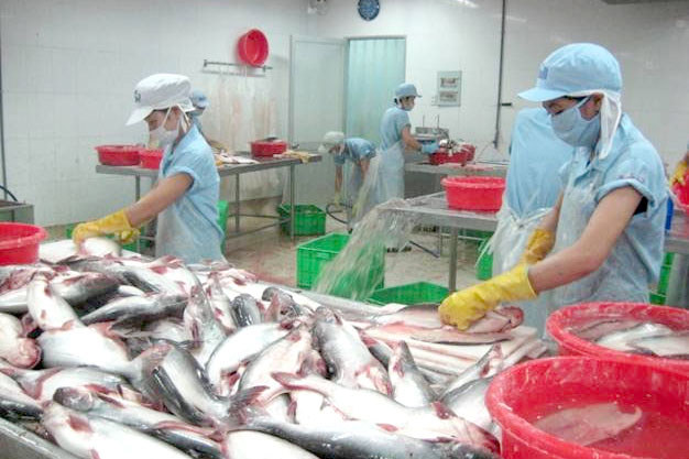 Kim ngạch xuất khẩu cá tra lập kỷ lục 2,26 tỷ USD.