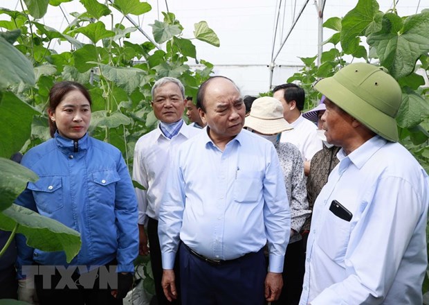 Chủ tịch nước Nguyễn Xuân Phúc thăm mô hình người cao tuổi làm kinh tế giỏi Hợp tác xã Tân Minh Đức.
