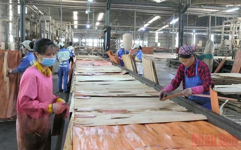 Nhà máy lâm nghiệp xuất nhập khẩu công nghiệp Hà Giang đẩy mạnh sản xuất sau đại dịch COVID-19