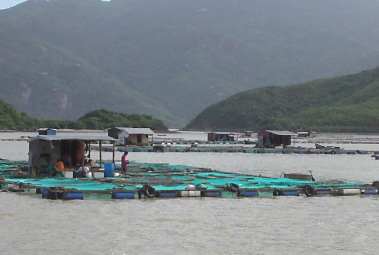  Nuôi cá lồng biển ở Khánh Hoà.