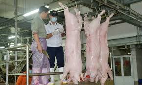 Kiểm soát việc giết mổ, vận chuyển, bán buôn, bán lẻ thịt, chủ yếu là thịt lợn, thịt gà