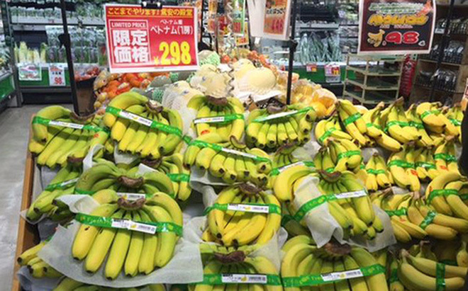Chuối bày bán tại siêu thị Nhật Bản