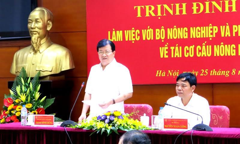 Phó Thủ tướng Chính phủ Trịnh Đình Dũng làm việc về tái cơ cấu nông nghiệp