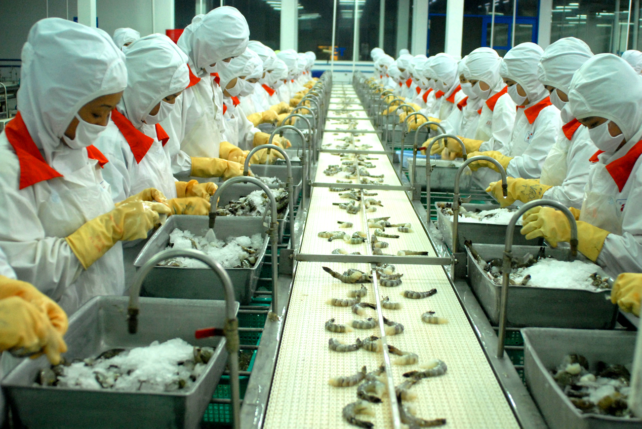 Các ngành cần khẩn trương xây dựng sản phẩm con tôm Việt Nam trở thành thương hiệu quốc gia 