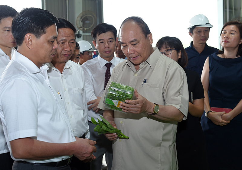 Thủ tướng Nguyễn Xuân Phúc thăm mô hình nông nghiệp công nghệ cao tại Hải Phòng