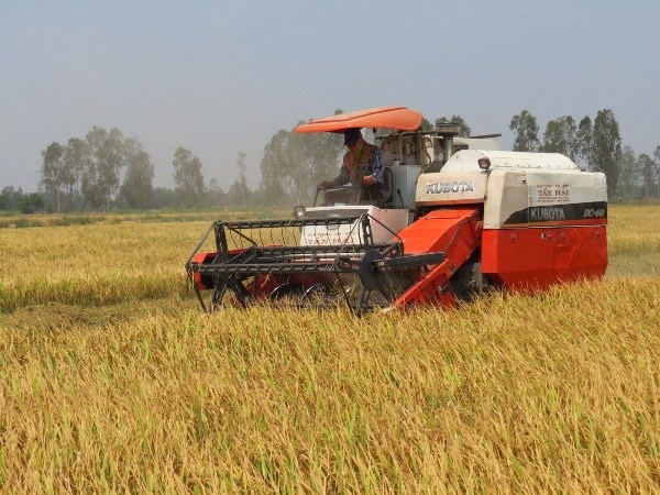  Lãi suất cho vay lĩnh vực thu mua lúa gạo áp dụng thấp hơn mức trung bình của thị trường ít nhất 1%/năm. Nguồn: Internet