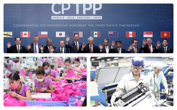 Lợi ích ròng mà các thành viên CPTPP nhận được từ tự do hóa thương mại sẽ vào khoảng 0,3% tổng GDP của các thành viên, tương ứng với 37,3 tỉ USD trong trung hạn. Nguồn: Internet