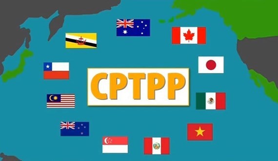 Cơ hội từ CPTPP liệu có trở thành những con số cụ thể trong gia tăng kim ngạch, giá trị xuất khẩu? Nguồn: Internet 