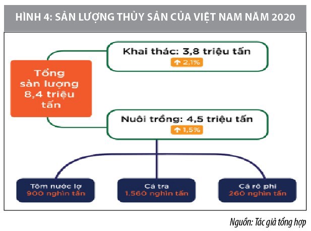 Cơ hội và thách thức của chuỗi cung ứng thủy sản Việt Nam trong bối cảnh đại dịch covid-19  - Ảnh 4