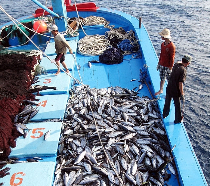 Hoạt động khai thác hải sản cần được kiểm soát chặt chẽ. Nguồn: Internet