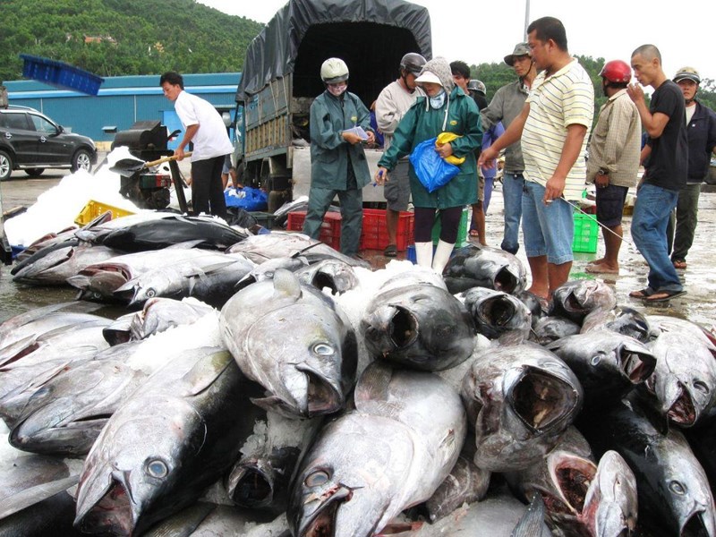 Nhiều mặt hàng hải sản thế mạnh của Việt Nam được miễn thuế nhập khẩu vào Trung Quốc. 