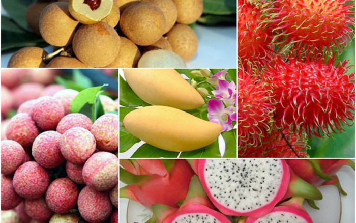 Hiện nay, Việt Nam đứng thứ 5 châu Á về sản lượng rau quả, trái cây. Nguồn: Internet.
