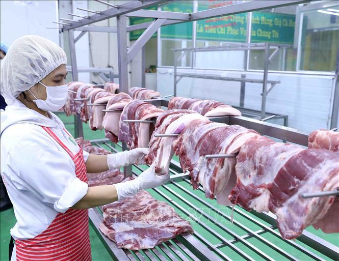 Chính phủ chỉ đạo bảo đảm quyền lợi của người chăn nuôi, không để thiếu hụt thịt lợn, giá thịt lợn tăng ảnh hưởng đến đời sống nhân dân và gây áp lực lên lạm phát, ổn định kinh tế vĩ mô.